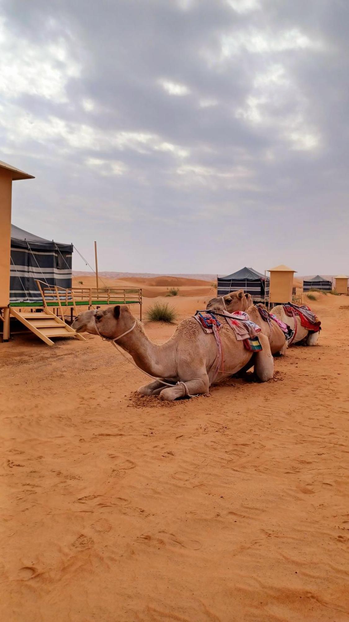 Tente de luxe Sunrise Desert Local Private Camp Badīyah